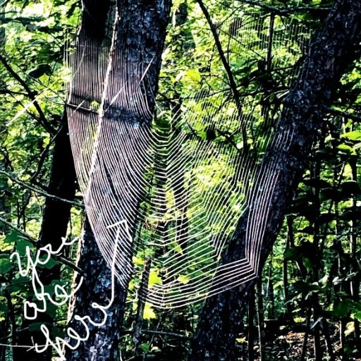 Old Soul Medicine Crow